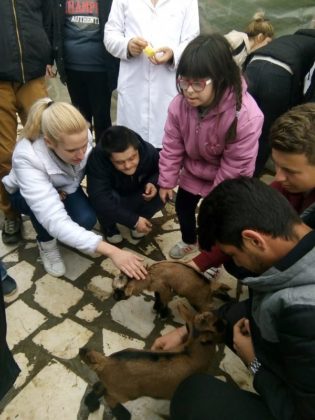 Одбележан Светскиот ден на лицата со Даунов синдром и Денот на пролетта