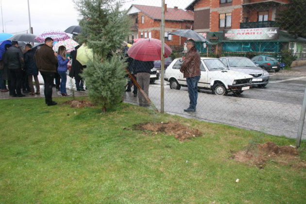 Општина Прилеп и ЈКП „Комуналец“ засадија дрвја на Могилата на непобедените
