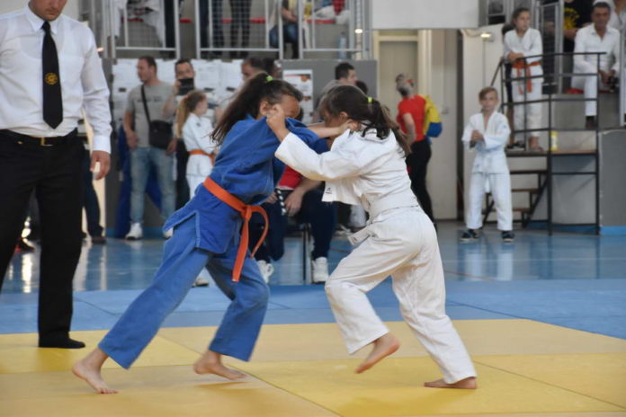 Judo 11
