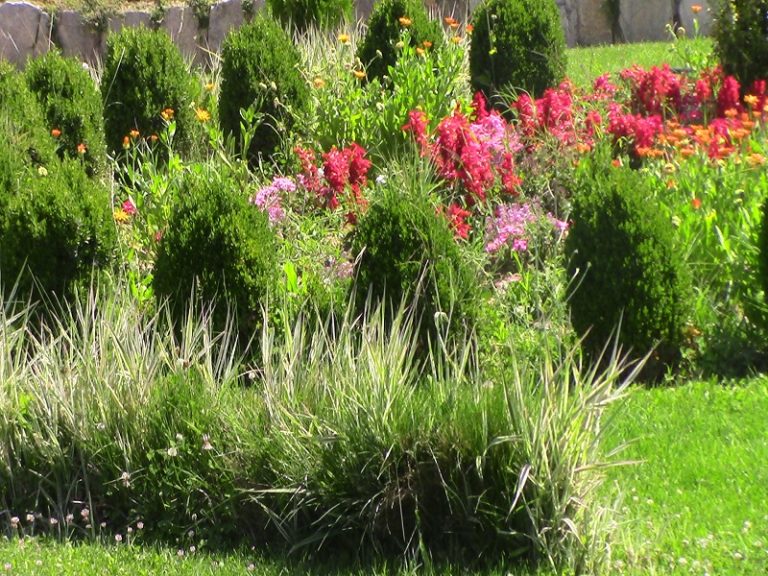 Пристигнаа првите кампери на Паркот на револуцијата