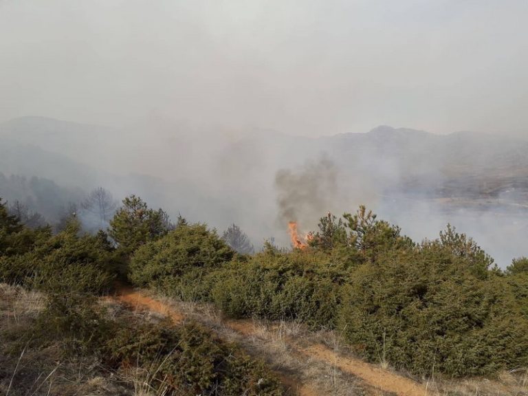 Пожар од посериозни размери го зафати пределот околу село Дабница