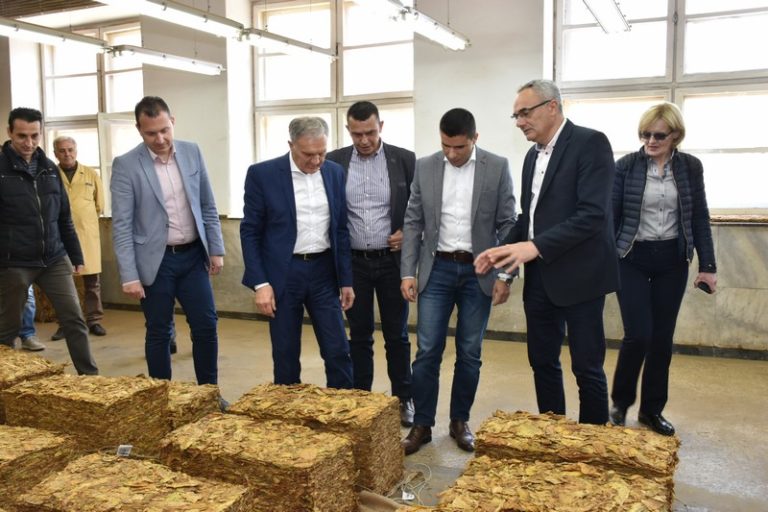 Субвенциите конечно ќе се исплатат до петок, а во Прилепско расте интересот за тутунопроизводство