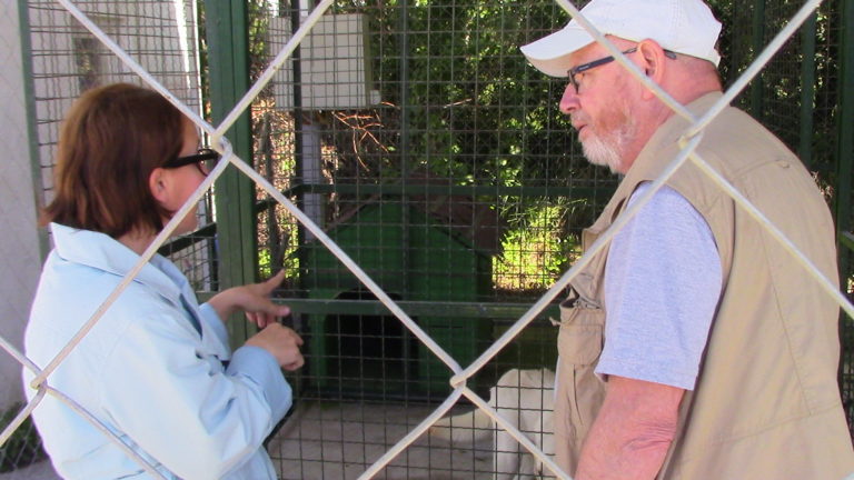 Работилници за бездомни кучиња со познат светски предавач