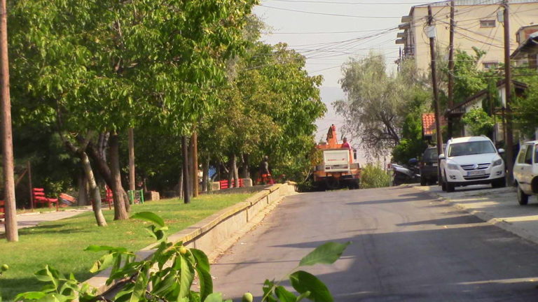 Заради непречено одвивање на сообраќајот, се кастрат и обликуваат дрвјата на ул.„Петта Прилепска бригада”