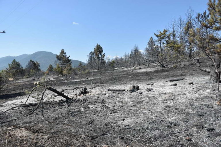 Пожарите кои вчера избувнаа на територијата на општина Прилеп ставени под контрола