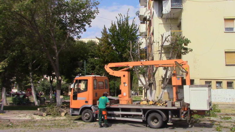 ЈКП „Комуналец“ започна со есенско кастрење и сечење на проблематичните дрвја
