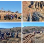 Eко-акција за пошумување на месноста Алиници