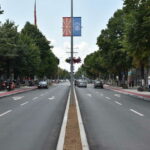 Уништувањето на јавното зеленило во градот е казниво по закон